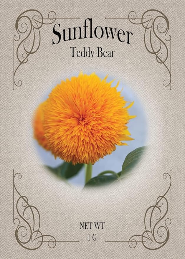 Black Duck Brand Set of Flower Seed Packets! Flower Seeds in Bulk - Great for Creating The Garden of Your Dreams! (200, Teddybear Sunflower)