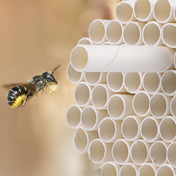 URATOT 120 Pieces Mason Bee Paper Inserts 6 Inches Beekeeper Cardboard Replacement Inserts Mason Bee Nesting Tubes Refills Inserts for Mason Bee Houses and Supplies, Outdoor and Garden