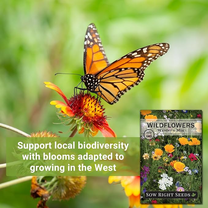 Sow Right Seeds - Wildflowers Seeds Mix for Planting in West - Non-GMO Heirloom Varieties to Grow a Wild Flower Garden - Perennial and Annual Flowers to Attract Pollinators - Colorful Blooms (1)