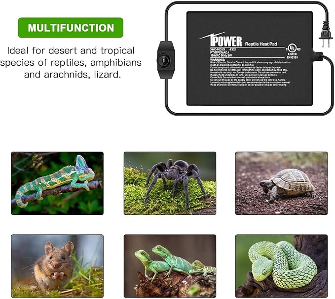 iPower 6 by 8 Inch Reptile Heating Pad with Temperature Adjustable Controller Knob, Under Tank Warmer Terrarium Heat Mat for Reptiles and Amphibians