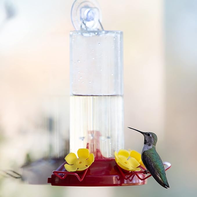 Perky-Pet Plastic Window Mount Hummingbird Feeder with Perches - 8 oz Hummingbird Nectar Capacity, 217 - Hummingbird feeders for outdoors