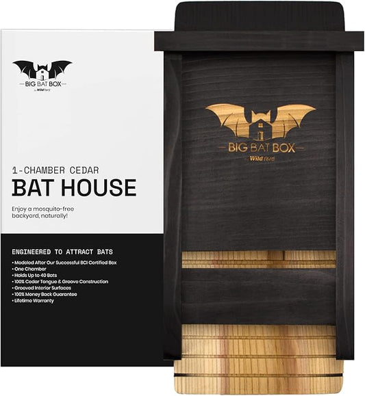 WildYard Single-Chamber Bat Box - Black Stainless Steel - Easy-to-Hang Outdoor House - Sturdy Weatherproof Bat Box - Wildlife Habitat Insect House