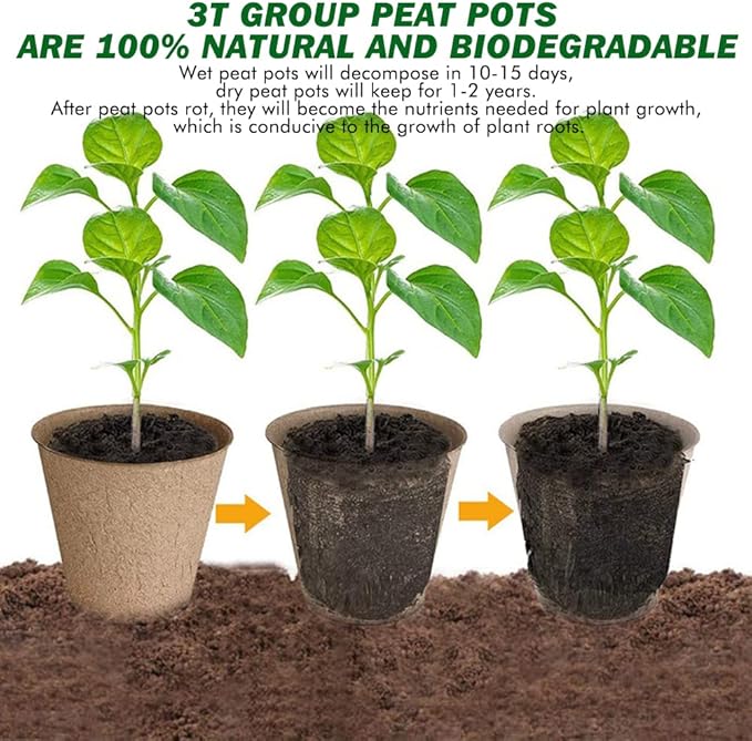 3T GROUP 50 Pcs 3 Inch Small Plant Pots,Disposable Mini Pots,Compostable Flower Pots for Plant,Biodegradable Peat Seed Planting Cups with Labels for Vegetables,Fruit