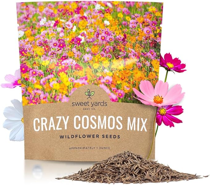 Cosmos Seeds Wildflower Mixture - Bulk 1 Ounce Packet - Over 5,000 Seeds - Pink, Yellow, Orange, Red, Purple and White Mixed Species!