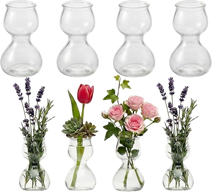 Garden Guru Plant Propagation Stations - Clear Glass Bud Vases Set of 8 - Mini Vases for Wedding Centerpieces, Cafe Décor, Tea Shop Displays - Small Hydroponic & Flower Vase