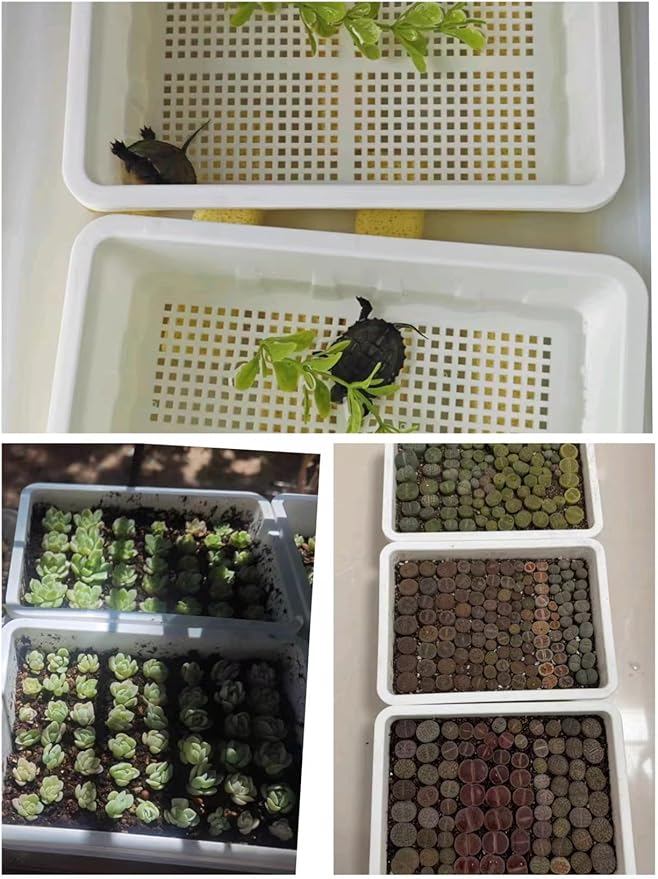 10 Pack Plastic Seedling Starters Trays Mesh Bottom for Microgreen Cactus Succulents