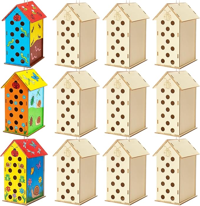 DoubleFill 12 Pack Wood Ladybirds House Painting Crafts Kits My First Ladybugs House DIY Art Craft Kit with Hemp Rope DIY Cedar Wooden Birdhouse for Building Bee Butterfly Habitat, No Paint