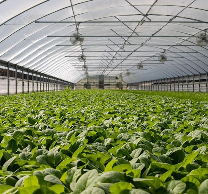 Garden Netting Pest Barrier: 4'x20' Fine Bug Netting for Garden Protection Row Cover Raised Bed Screen Mesh Greenhouse Mosquito Net, Protecting Tree Plants Vegetable Flowers Fruits