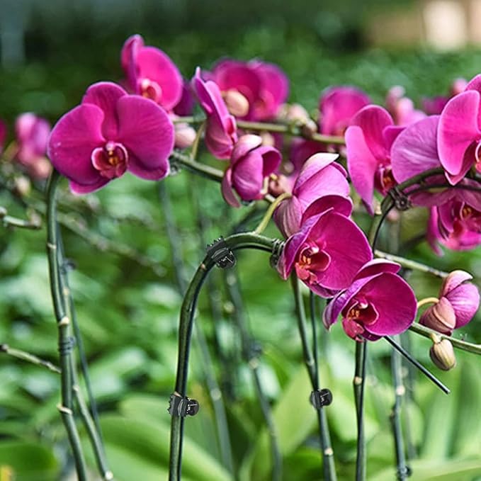 200 Pcs Plants Orchid Support Clips Plant Clips Orchid Clips Flower Vine Clips for Supporting Stems Vines Stalks Climbing Plant Grow Upright