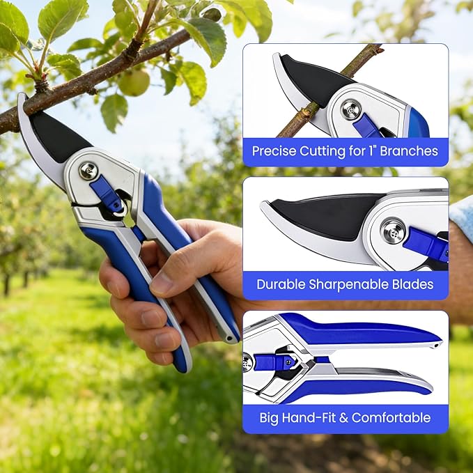 Garvee Professional Pruning Shears & Garden Shears Set | Stainless Steel Blades with Ergonomic Comfort Grip | Essential Gardening Tools for Women & Plant Care Enthusiasts