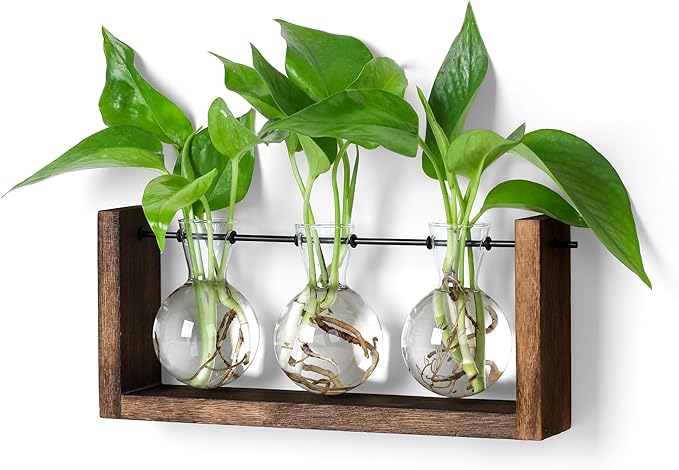 YIBOT Wall Hanging Planter Propagation Station Glass Flower Vase for Hydroponics Plants, Plant Terrarium with Wooden Stand, Bathroom, Home Office Living Room Decor Gift