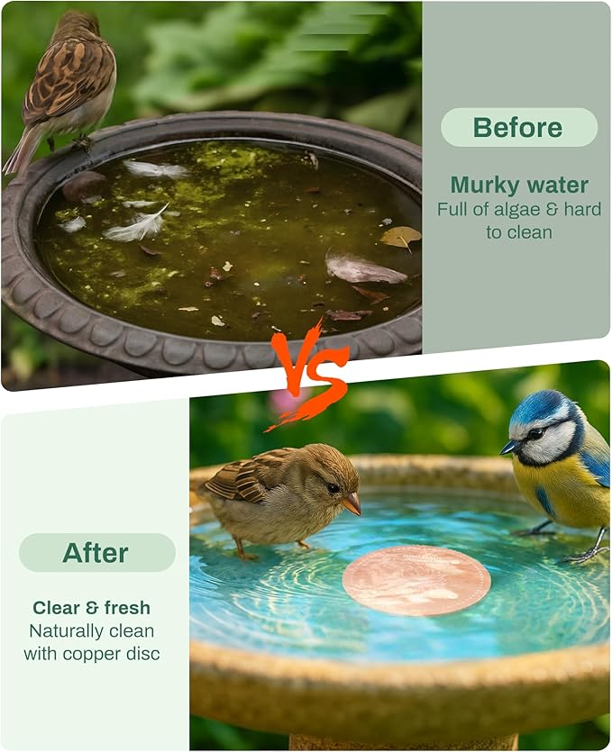 Bird Bath Purification Disk Pure Copper Outside Winter Solar Power Birdbath Hummingbird Bee Water Fountain Solar Power Window Feeder Stand Nectar Food Pole House Hanging Birdhouse Accessories