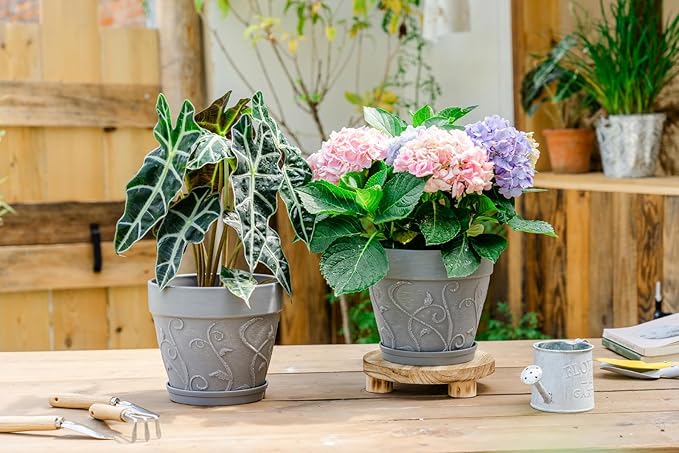 Melphoe Plant Pots Indoor with Drainage & Saucer, 2Pack 8 inch Flower Pots Outdoor Planters for Indoor Plants Garden Home Decor Cactus Succulent, Rigid Plastic (Imitation-Terracotta) Vine-Embossed