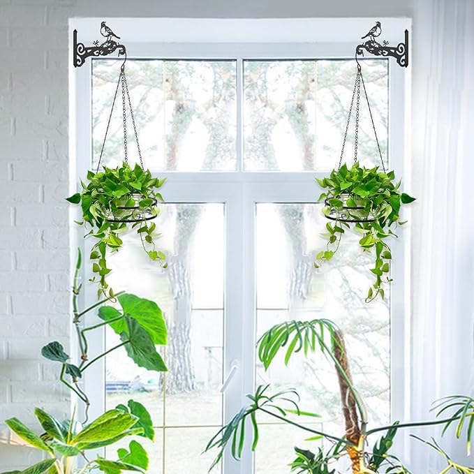 2-Pack 10 Inch Aesthetic Plant Hangers Outdoor – Metal Hanging Plant Bracket with Beautiful Hummingbird Pattern – Heavy Duty Plant Hooks for Hanging Plants, Bird Feeder, Wind Chime, Lantern