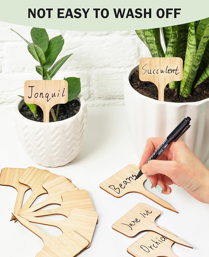 Homenote Plant Labels 100Pcs,Bamboo,Plant Tags for Seedling,T-Type Tags for Plants,Outdoor Garden Markers,Vegetable Seedling(2.36" x 4“)
