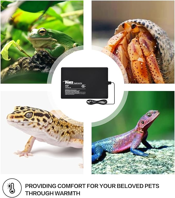 iPower 8 by 12-Inch 16W Reptile Heat Mat, Under Tank Warmer Terrarium Heat Pad for Turtles Lizards Frogs and Other Small Animals, Multi Sizes
