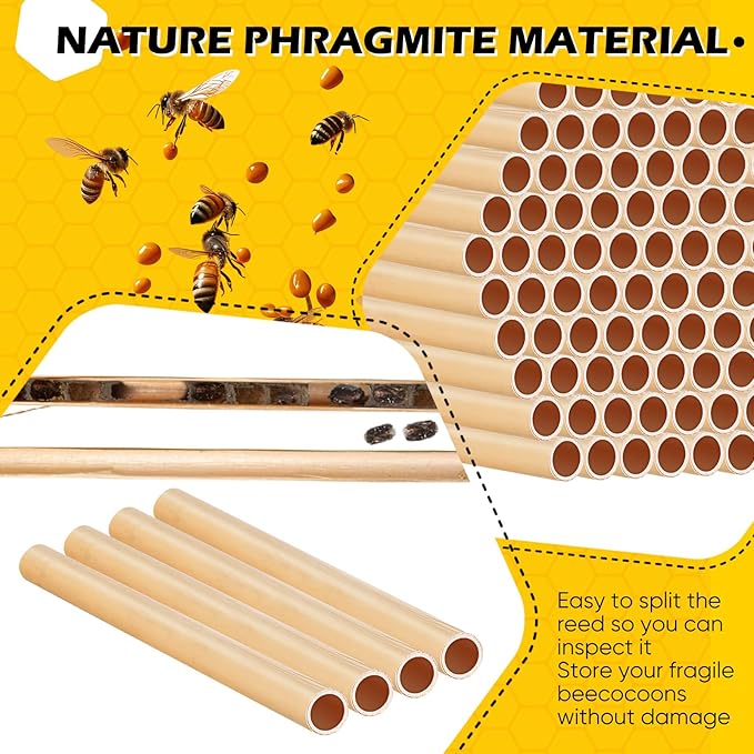 Tinideya 250 Pcs Phragmite Reed Mason Bee Tubes Set Bee Hotel Nest Box Pollinator Bee Box for Mason Bee Houses Natural Phragmite Bee Nest Bees Supplies Refill Your Mason Bee House Bee Hive