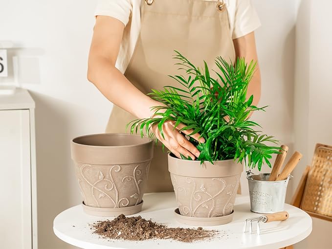 Melphoe Plant Pots Indoor with Drainage & Saucer, 2Pack 7/8 inch Flower Pots Outdoor Planters for Indoor Plants Garden Home Decor Cactus Succulent, Rigid Plastic (Imitation-Terracotta) Vine-Embossed