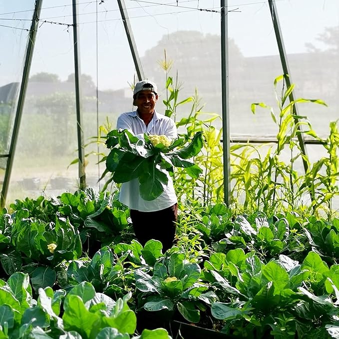 Garden Netting Pest Barrier: 10'x50' Fine Bug Netting for Garden Protection Row Cover Raised Bed Screen Mesh Greenhouse Mosquito Net, Protecting Tree Plants Vegetable Flowers Fruits
