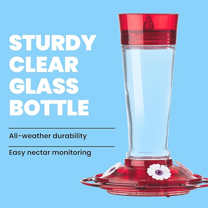 More Birds Bird Health+ Ruby Hummingbird Feeder, Glass Hummingbird Feeders for Outdoors, 4 Feeding Stations, 10 Ounces, Ruby Red
