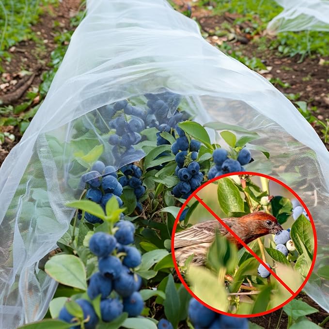 GonLei Garden Netting 10 X 100 FT Ultra Fine Netting for Garden Protection,Garden Netting for Raised Beds,Mosquito Net for Blueberry Shrubs Vegetables Fruits Flowers Crops Pest Barrier