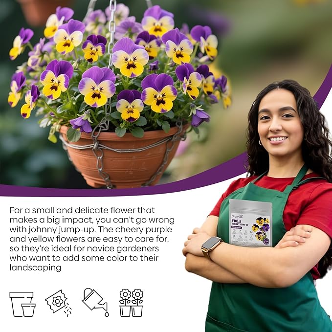 Johnny Jump Up Seeds, 10000+ Perennial Wild Violet Seeds for Planting, Edible Flowers, Non-GMO | Heirloom | Attracts pollinators, Grown in The USA