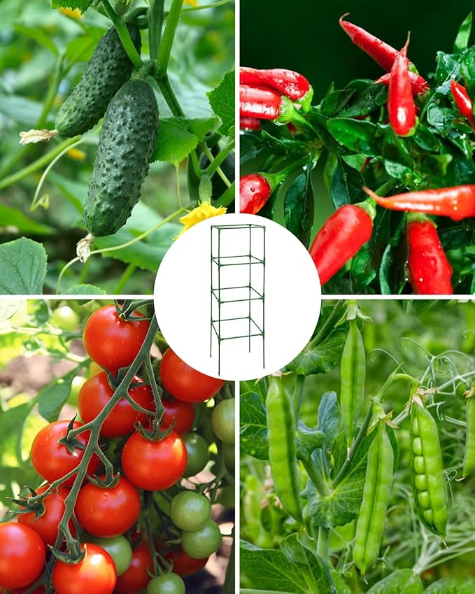 6 Pack Tomato Cage, Square Tomato Cages for Garden, Plant Trellis for Pots, Raised Garden Bed, Plant Support Stakes- 20 Clips Included