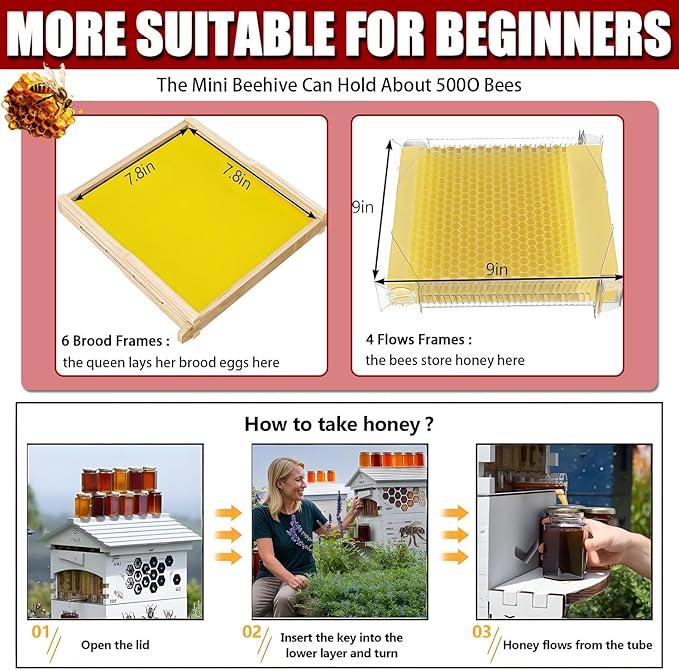 Beehive Starter Kit, Self-Flow Hive with Observation Window & Honey Spout, Complete Wooden Bee Box with 4 Frames & 6 Honeycomb Trays, for Garden Pollinators