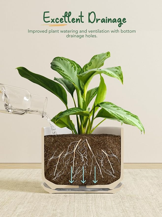 LE TAUCI Ceramic Pots for Plants, 10 Inch Plant Pot with Drainage Hole & Saucer, Sturdy & Modern Planters for Indoor Plants, Includes Mesh Screen, Fits Snake Plant & Monstera, Black
