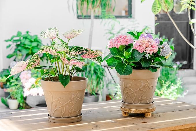 Melphoe Plant Pots Indoor with Drainage & Saucer, 2Pack 10 inch Flower Pots Outdoor Planters for Indoor Plants Garden Home Decor Cactus Succulent, Rigid Plastic (Imitation-Terracotta) Vine-Embossed