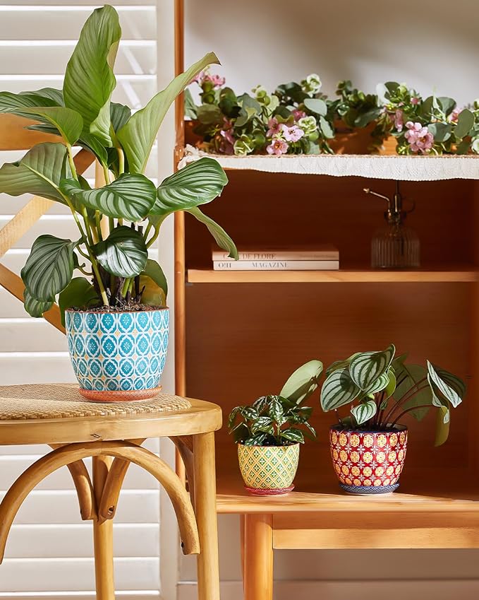 Ceramic Plant Pots, 5.8 Inch Flower Pots for Indoor Plants, Colorful Planters with Drainage Hole & Saucer, Garden Planters for Succulent, Orchid, Cactus, Home Decor, Set of 4