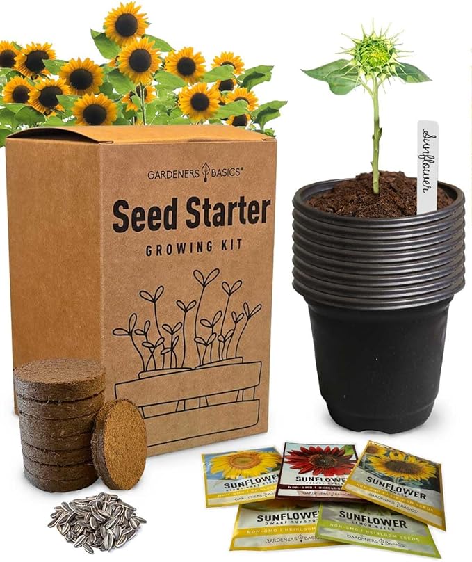 Sunflower Growing Kit – 5 Giant & Colorful Sunflowers Gifts for Women – Non-GMO Heirloom Seeds, Complete Indoor & Outdoor Sunflower Garden Grow Kit, Easy to Grow & Perfect for Pollinators