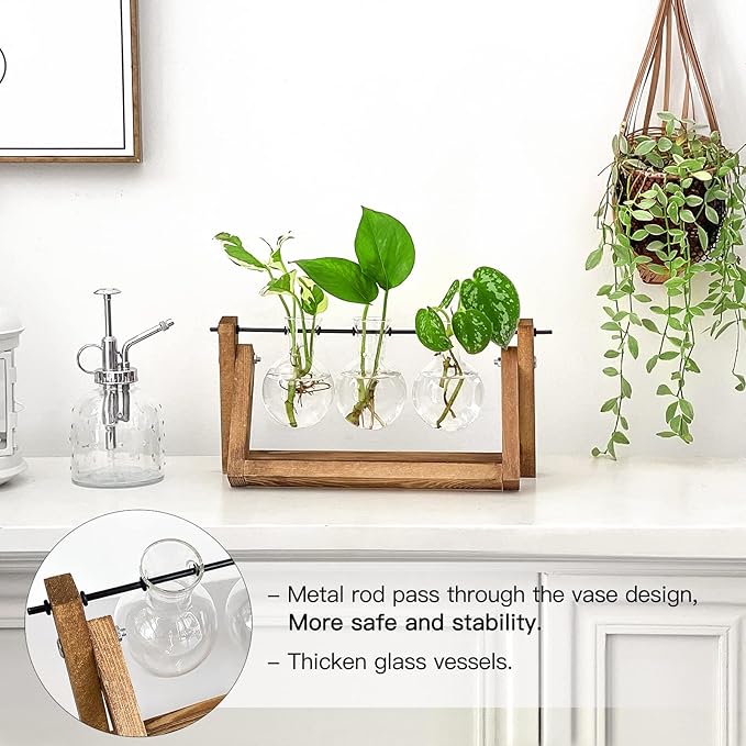 Propagation Station, Plants Terrarium, Plants Lover Gifts for Women,Plant Cutting Holder Home décor,Gifts for Women,House Warming New Home-3 Bulbs