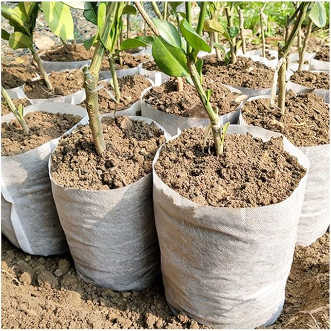 Biodegradable Nonwoven Fabric, for Nursery Plant Grow Bags Seedling Growing Planter Planting Pots Garden Eco-Friendly Ventilate Bag (Size : 12x13cm (100pcs))
