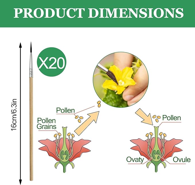 20 Pcs Pollination Brush, Pollinator Brushes Tool Set for Greenhouse Gardens Tomatoes, Peppers, Strawberries and More, Wood