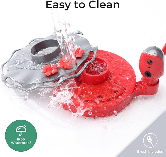 Smart Glass Hummingbird Feeder with Camera Solar Powered 2K- AI Identify & Water Detection, Instant Notification, Leakproof & Ant Moat TT Nature
