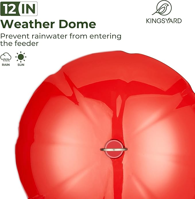 Kingsyard 12 oz Hummingbird Feeder with Rain Guard Dome, Leak-Proof Saucer Nectar Feeder for Outdoors Hanging, Built-in Ant Moat & 6 Bee-Proof Ports, Easy to Refill & Clean, Black