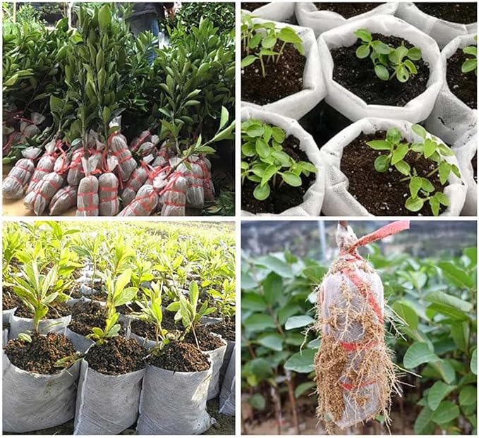 NT-ling Nursery Growing Bags, 100pcs Biodegradable Non-Woven Fabric Grow Bags, Seeding Starter Bags Seedling Plants Pots Home Garden Outdoor Greenhouse Supplies (12 * 15cm)
