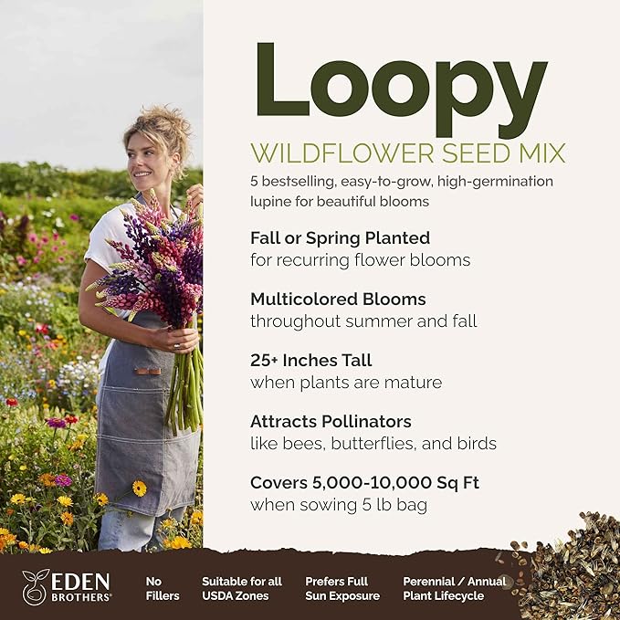 Eden Brothers Lupine Flower Mixed Seeds for Planting, 5 lb, 2,400,000+ Seeds with Russell, Arroyo, Yellow, Sky Lupine | Attracts Pollinators, Plant in Spring or Fall, Zones 3, 4, 5, 6, 7, 8, 9, 10