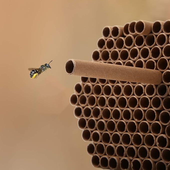 URATOT 120 Pieces Mason Bee Tubes 6 Inches Outdoor Bee Cardboard Tubes Beekeeper Replacement Nesting Refill Tubes for Mason Bee Houses, Bee Hotels