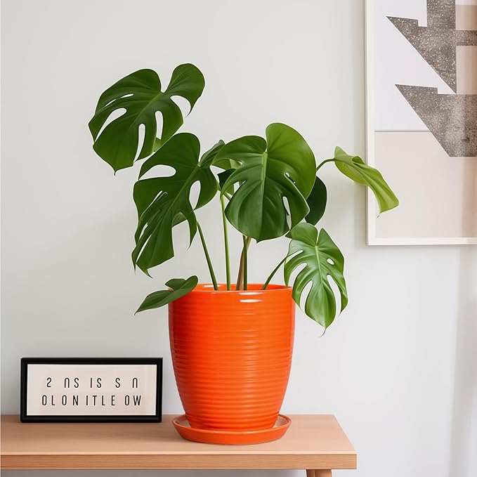 Ceramic Pots for Plants - 8 Inch Plant Pot with Drainage Hole and Saucer, Round Planter for Indoor Outdoor, Modern Flower Planters, Home Apartment Room Decor, Gardening Gifts, Orange