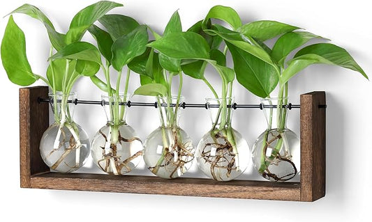 YIBOT Wall Hanging Glass Planter Plant Propagation Vase for Indoor Home Office Living Room Decor Gifts, Plant Terrarium with Wooden Stand-5 Bulb Glass Vases