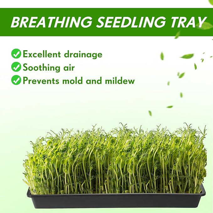 Yungyan 36 Pack 1020 Mesh Bottom Plant Trays Plastic Seed Tray Black Reusable Seedling Starter Trays Durable Microgreens Growing Trays for Outside and Inside Planting 21.06 x 10.63 x 2.56 Inches