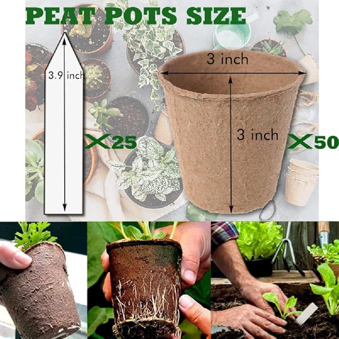 3T GROUP 50 Pcs 3 Inch Small Plant Pots,Disposable Mini Pots,Compostable Flower Pots for Plant,Biodegradable Peat Seed Planting Cups with Labels for Vegetables,Fruit