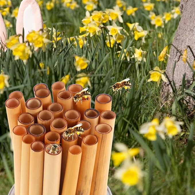 COHEALI Mason Bee Tubes 50-Pack, 7.87" Natural Reed Nesting Tubes Refills for Bee House, 7-9mm Diameter Solitary, Beehive Pollination Beekeeping Supplies for Garden
