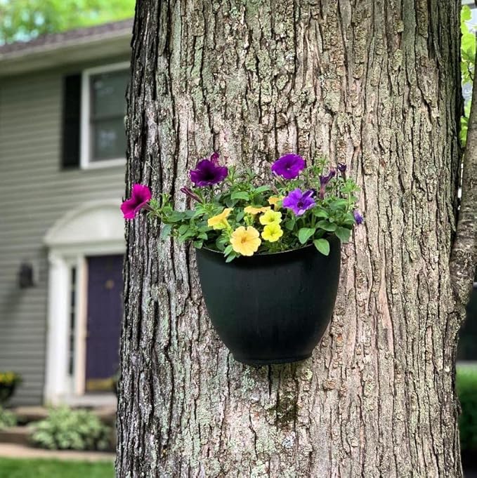 The HC Companies 8 Inch Garden Wall Planter - Plastic Hanging Plant Pot for Indoor Outdoor Flowers, Herbs, Black (Pack of 2)