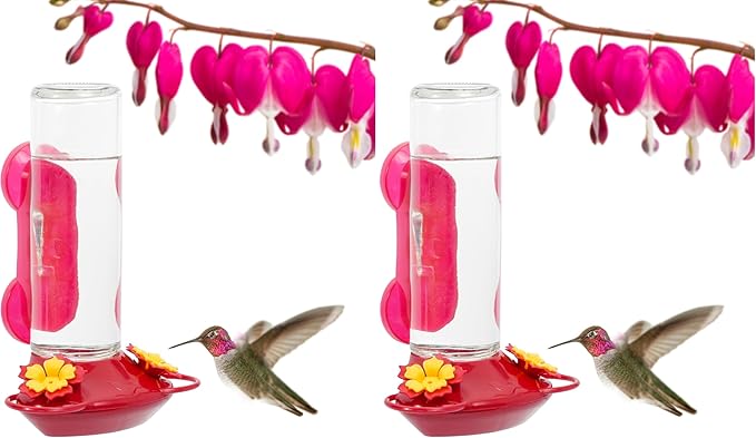 Perky-Pet 455-2 Mounted 445-2 Glass Window Hummingbird Feeder, Red – 14 oz (Pack of 2)