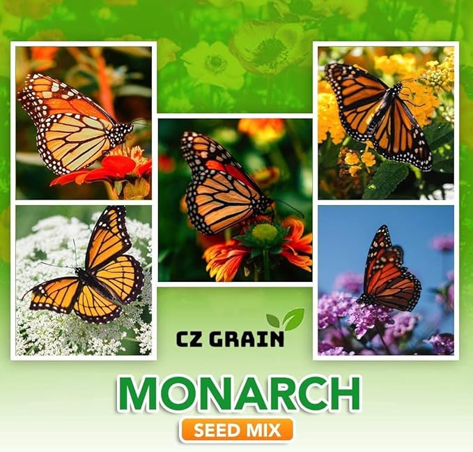 Monarch Butterfly Garden Seed Kit - Annual and Perrenial Wildflowers and Milweed Seeds