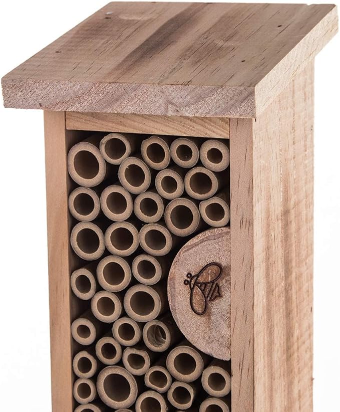 Bird House Bee Hive Wooden Insects House Hanging Bamboo Insect Hotels for Outdoor Garden Decorative