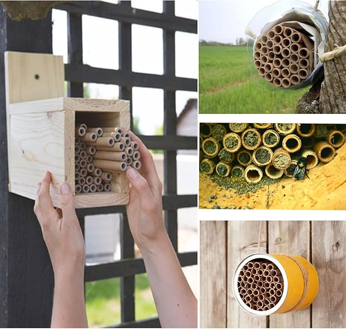 AukBeeFun Cardboard Mason Bee House Tubes 6 Inches Paper Tubes for Mason Bees (200)